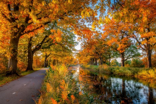 The Apeldoorn region