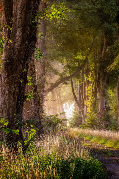 6u9a9087 bewerkt bewerkt