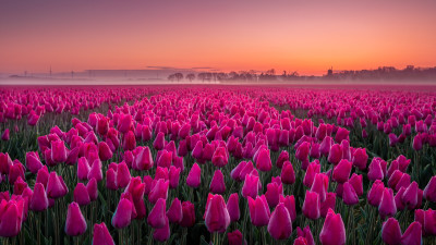  u9a0666 bewerkt bewerkt