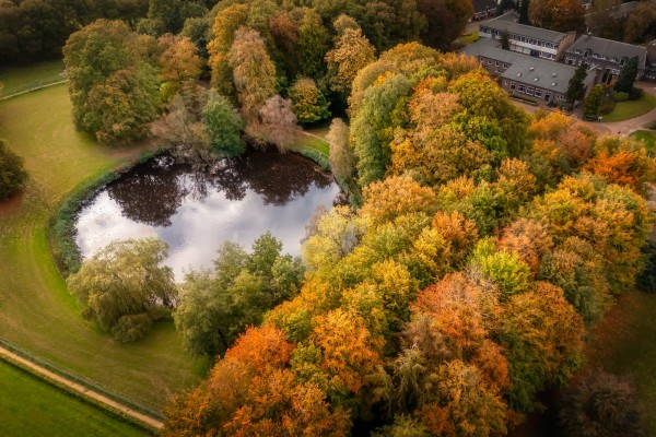 dji hdr bewerkt