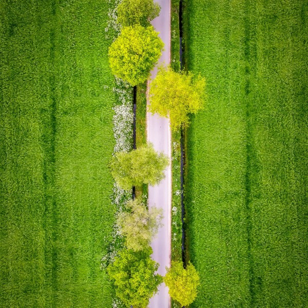 dji bewerkt