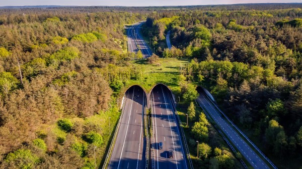 dji bewerkt